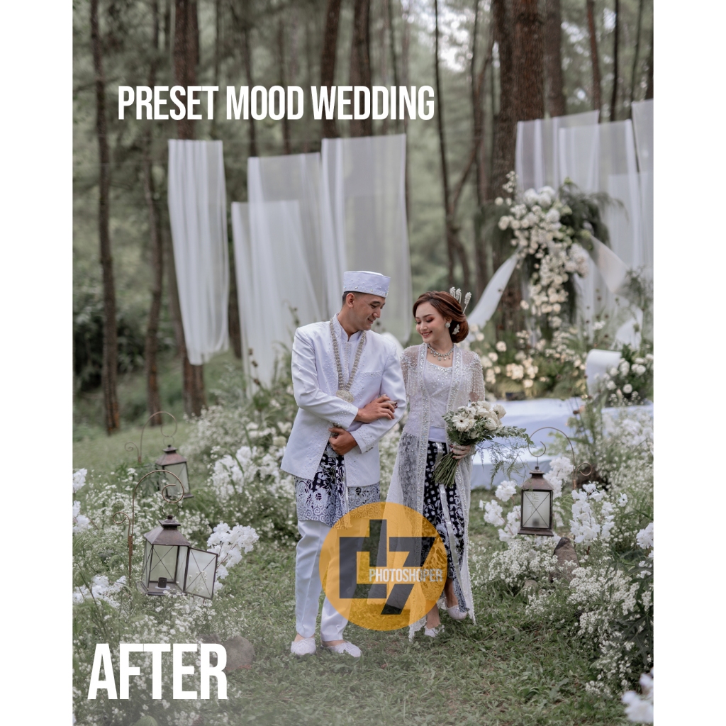 preset lightroom dng mood wedding