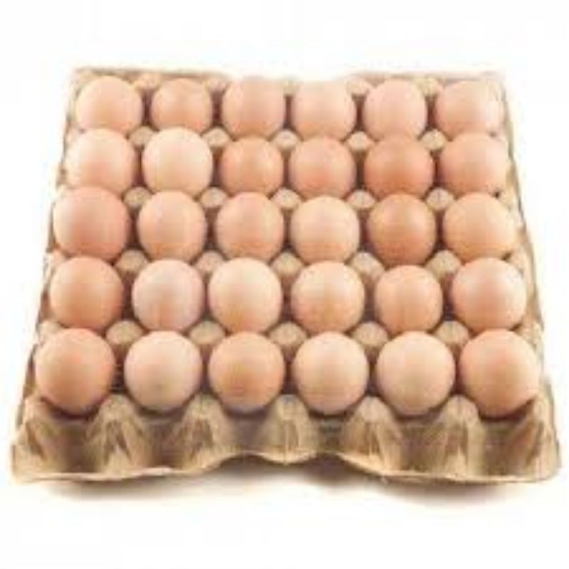 

Telur ayam eropa sedang 1 papan