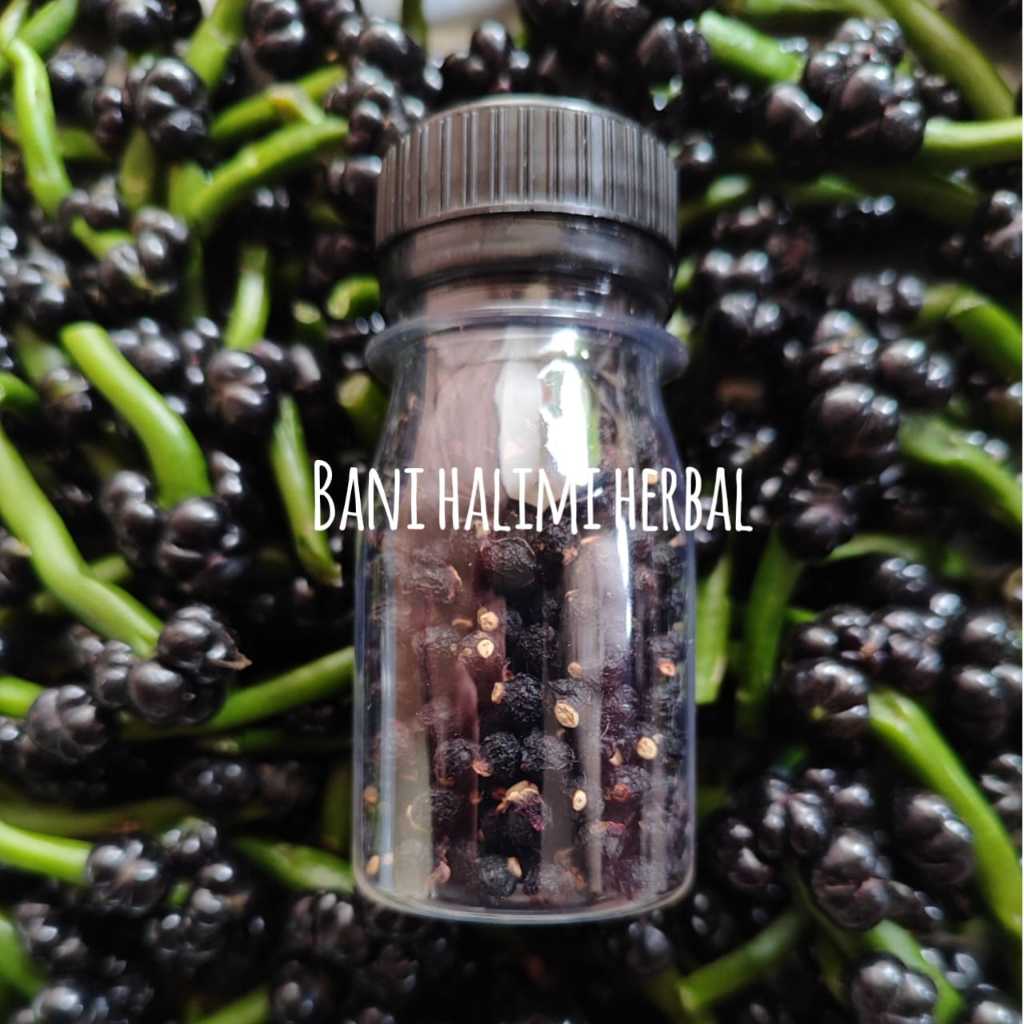 

Paket Hemat Buah Angkung Segar & Kering Obat Herbal Stroke 400 Biji (200 Segar + 200 Kering) Organik 100%