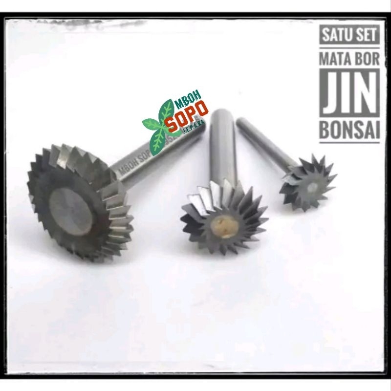 Alat Bonsai, Satu Set Mata Bor Jin Ryuga Jepang, Mata Bor Ukir Bonsai