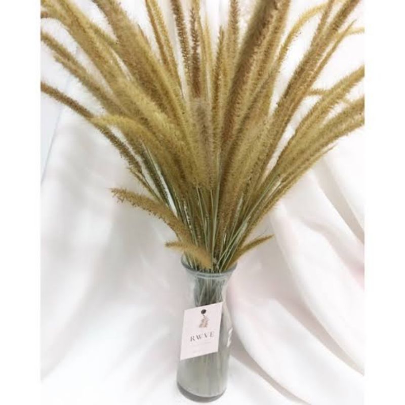 ilalang rustic/bunga ilalang