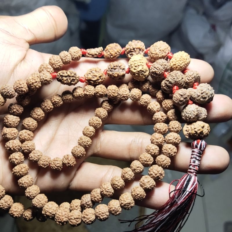 kalung Jenitri rudraksha mukhi 1 _ mukhi 10