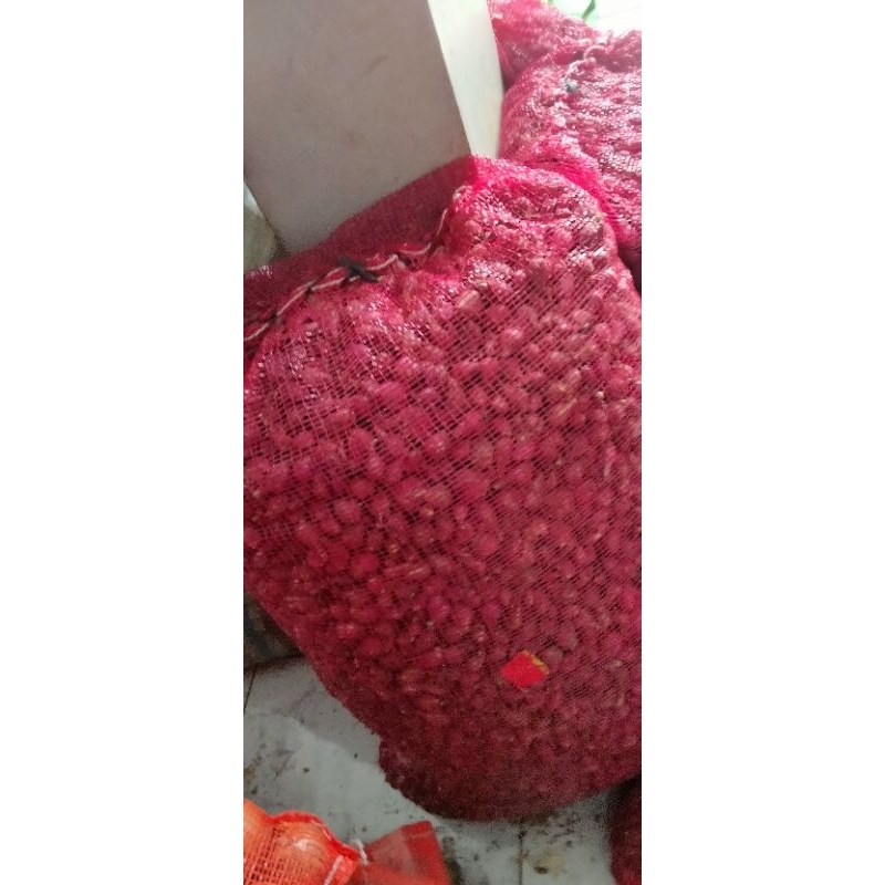 

Bawang merah