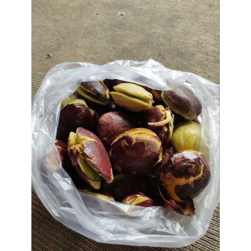 

Jengkol Tua fresh 1kg