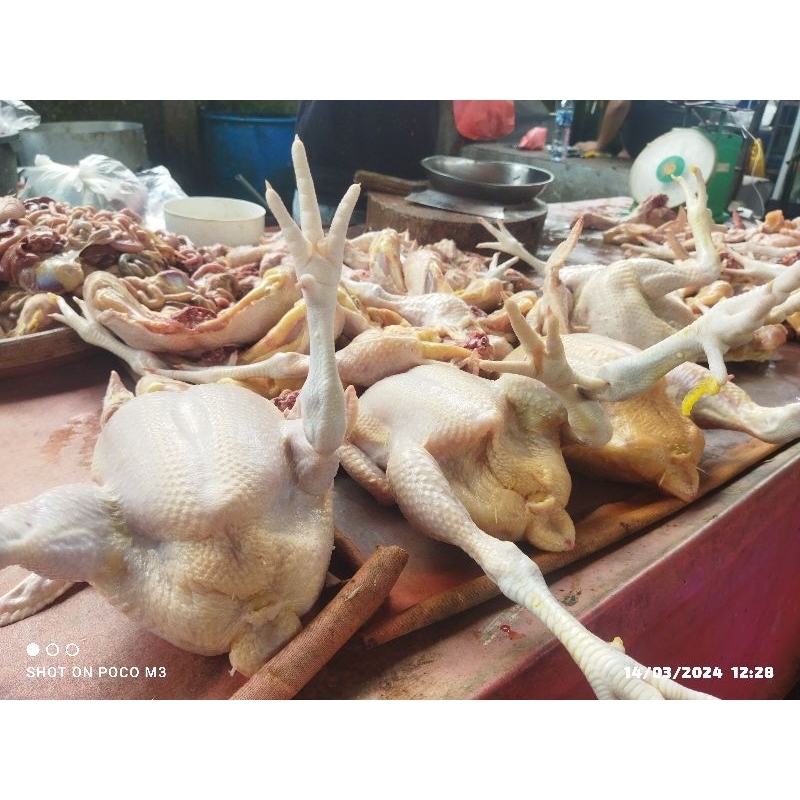 

Daging ayam segar dan daging ayam Fillet