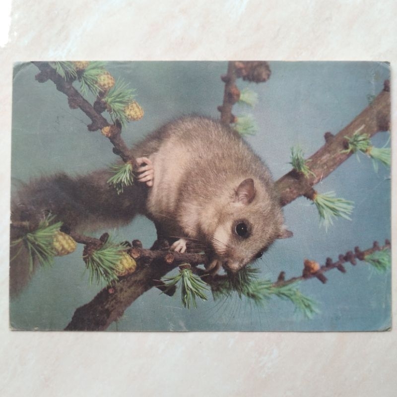 

Kartu Pos Kuno Jadul Jerman 1963 - YN1236