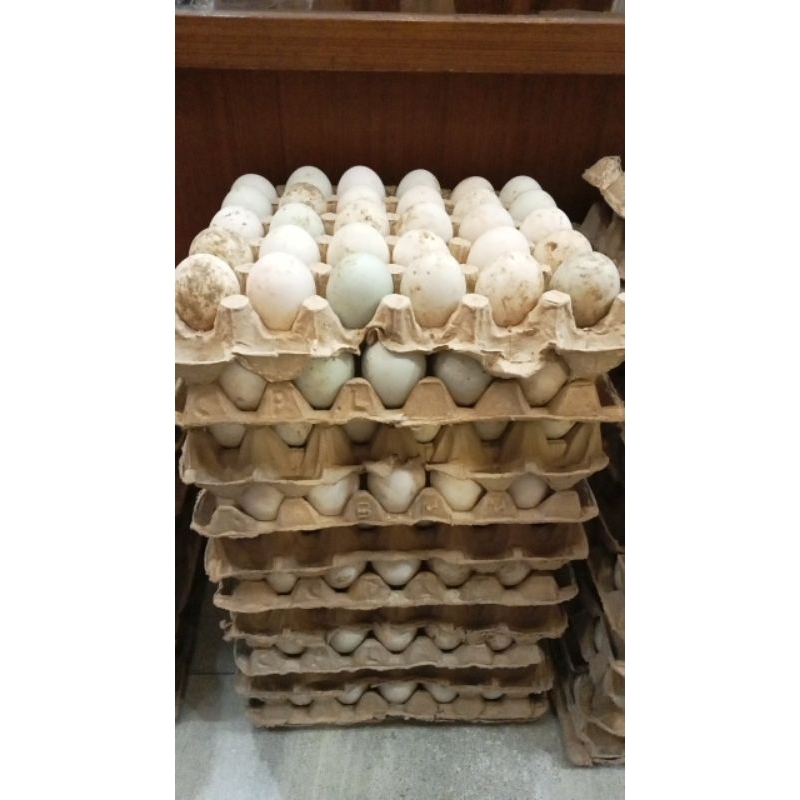 

Telur bebek kandang ukuran 1 ikat 21kg