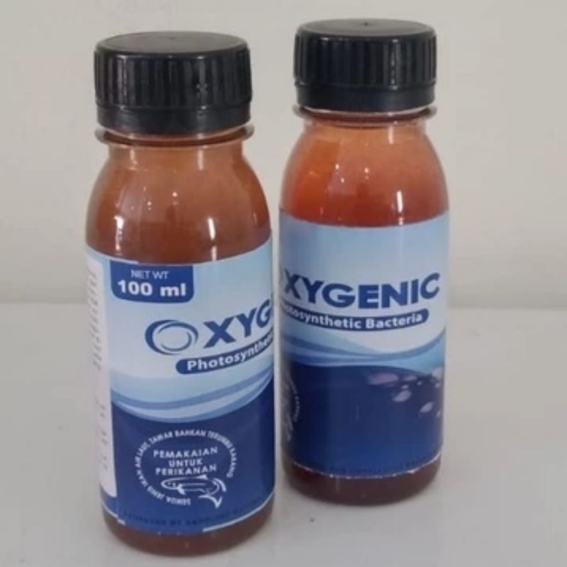 OXYGENIC PHOTOSYNTETIC BACTERI STARTER OXYGENIC PROBIOTIK BAKTERI STARTER