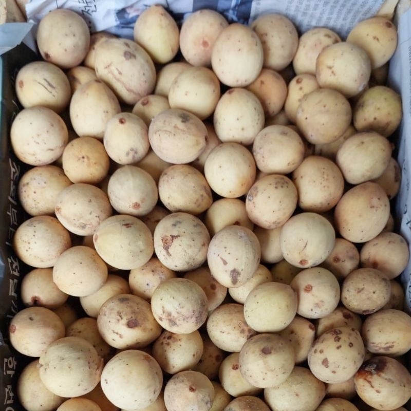 

DUKU PALEMBANG (1 KG)