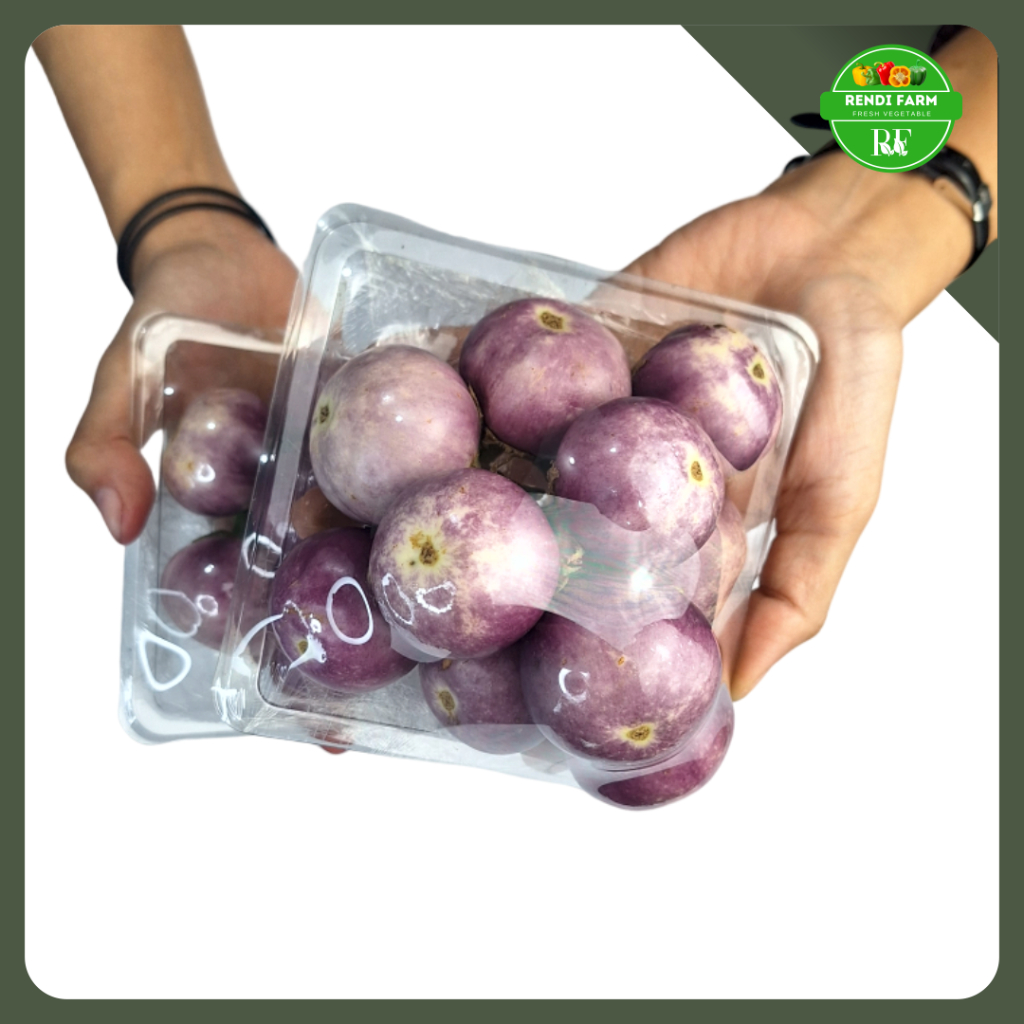 

TERONG UNGU LALAP/ TERONG LALAP / TERONG LALAPAN/