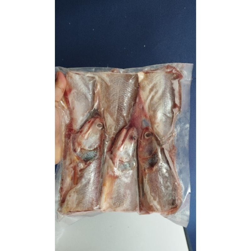 

Ikan Senangin 450g