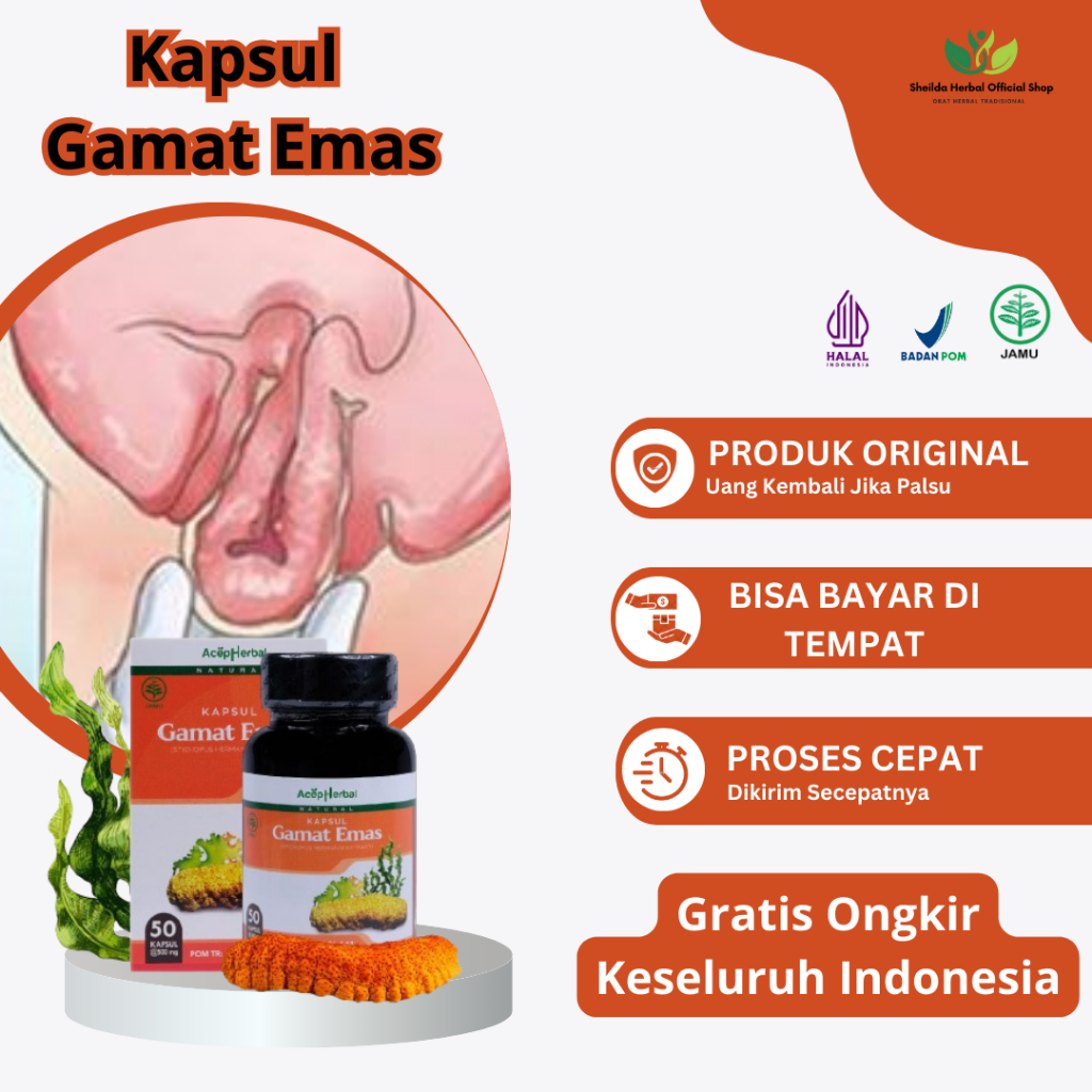 Obat Turun Peranakan, Turun Berok Wanita, Usus Turun, Rahim Turun, Rahim Menonjol, Rahim Menonjol Ke