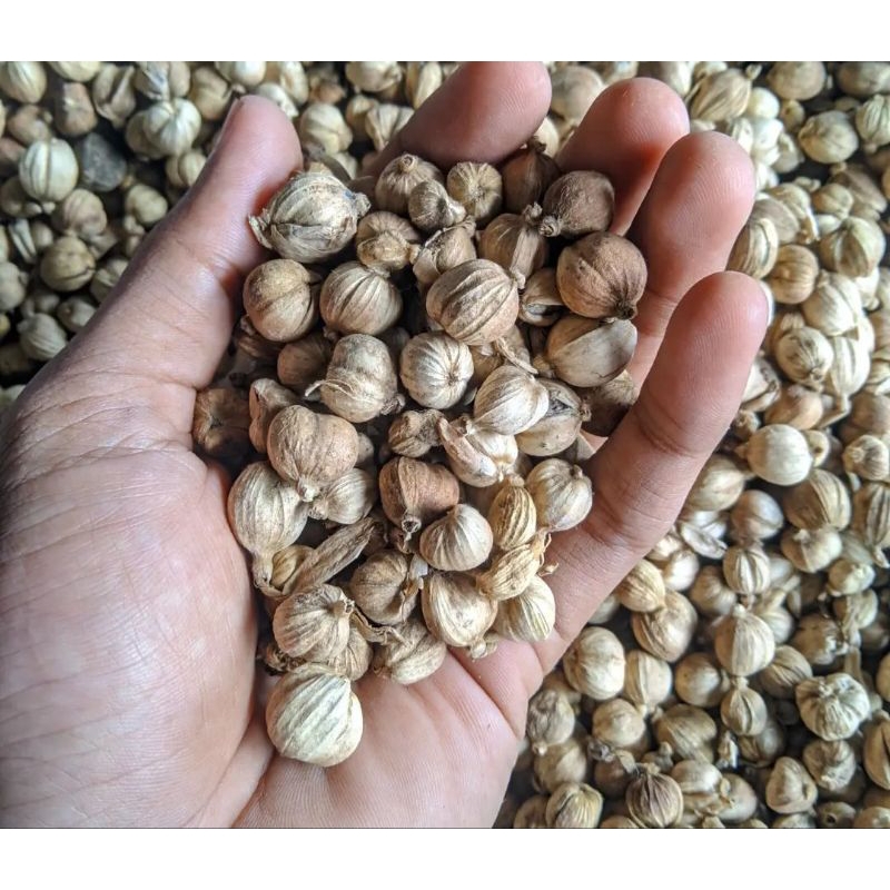 

Kapulaga Super 100 gram