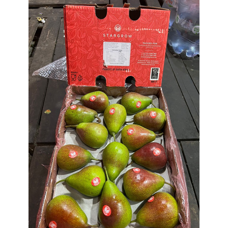 

Pear Forelle Africa