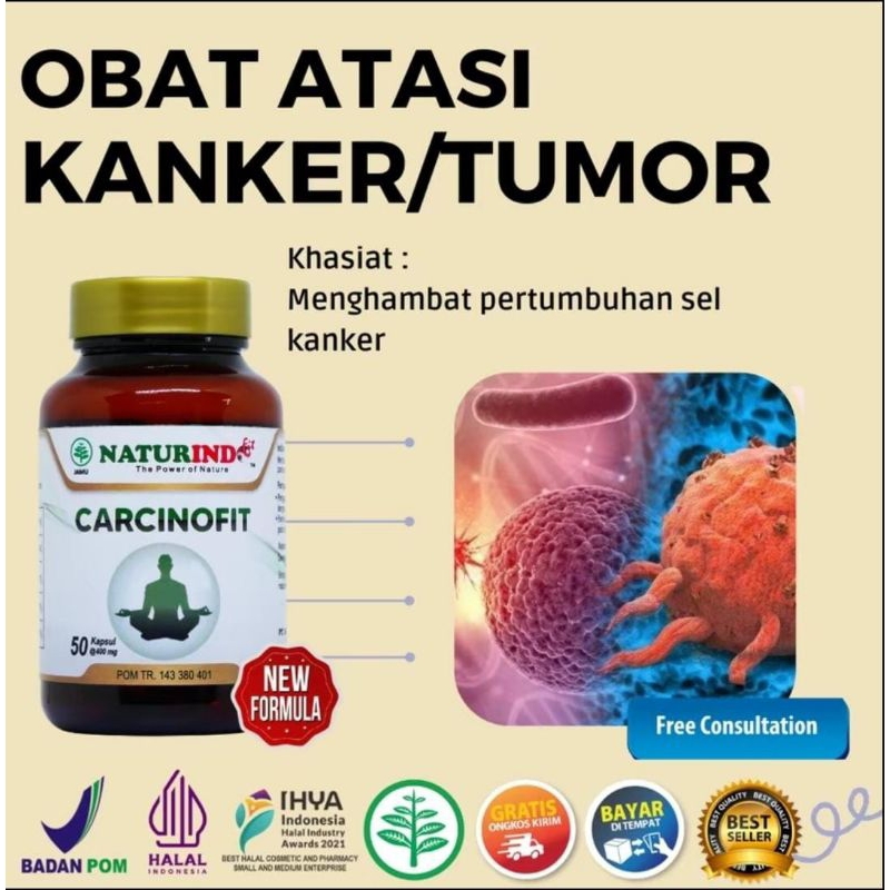 

Manfaat dan Khasiatnya obat CARCINOFIT :Menghambat pertumbuhan sel kanker, Mengurangi nyeri dan bengkak, Meredakan tumor secara alami, Meningkatkan daya tahan tubuh, Mencegah radikal bebas.