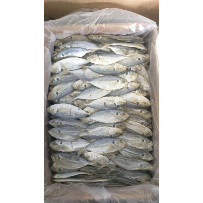 

Ikan Asin Selar Kuning Madura Sampang | Kemasan 500 gram