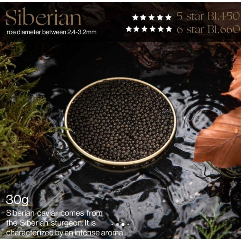 

Caviar/Telur Ikan Siberian Sturgeon - Antonius