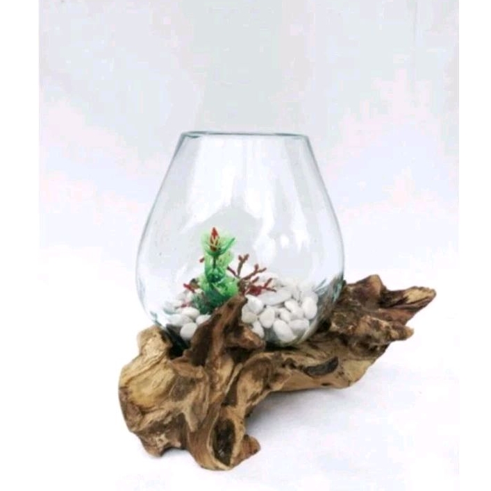 Aquarium Tiup Akar Kayu / Aquarium Ikan Cupang / Aquarium Mini