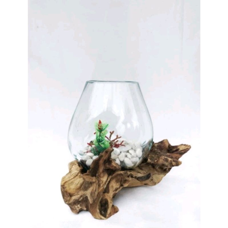 Aquarium Tiup Akar Kayu Unik / Aquarium Mini/ Aquarium Ikan Cupang