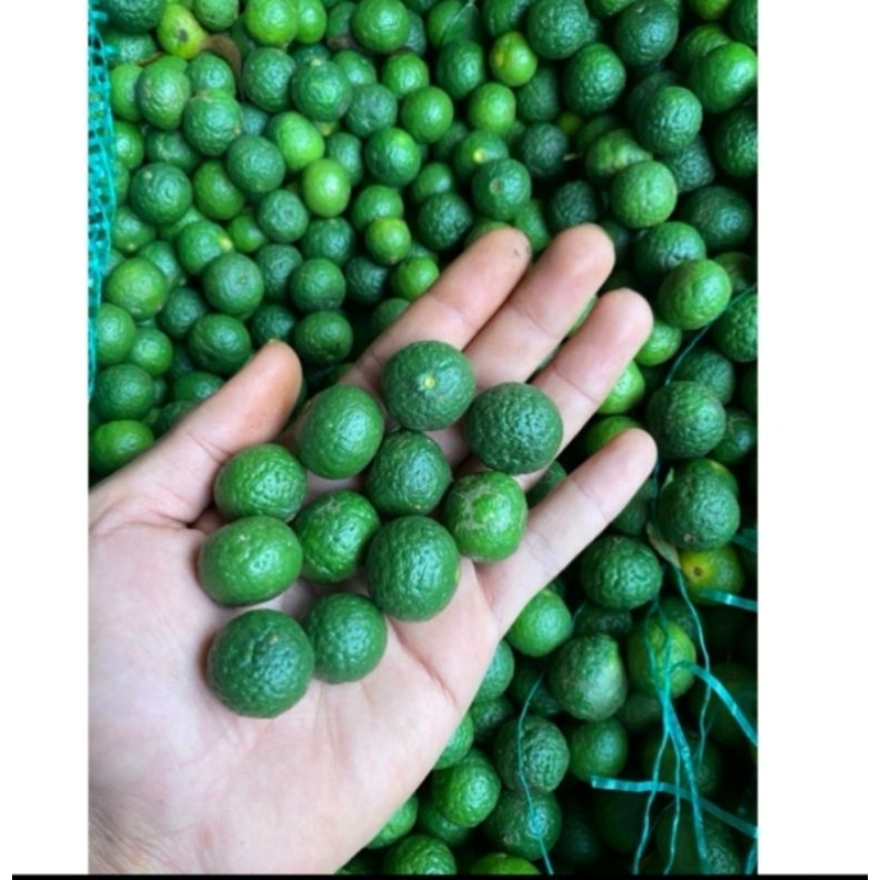 

Jeruk Limo Segar Fres Ready