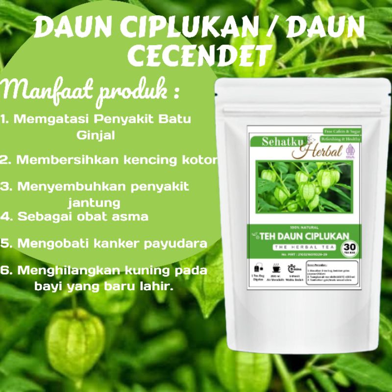 

Teh Daun Ciplukan/Teh Daun Cecendet teh Diabetesisi 30 tea bag