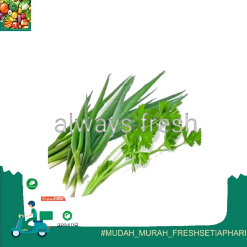 

daun bawang with seledri per ikat - always fresh