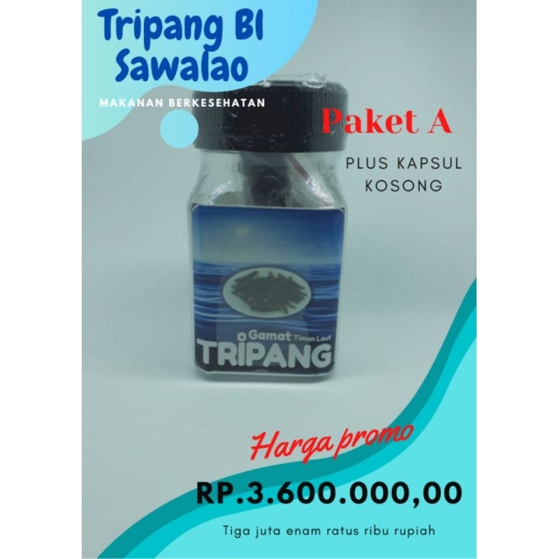 

Tripang Sawalao Paket A