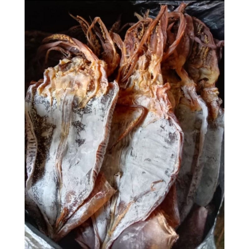 CUMI KERING JUHI CUMI BESAR IKAN ASIN MAKANAN SOTONG RASA TAWAR