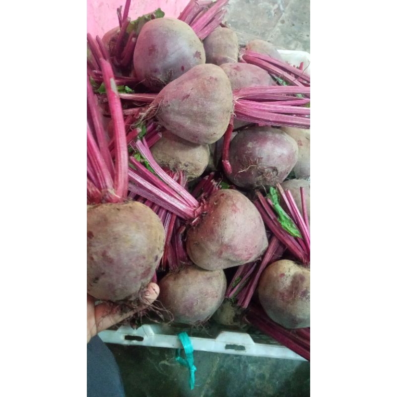 

DEB Buah Bit Organik 1 kg