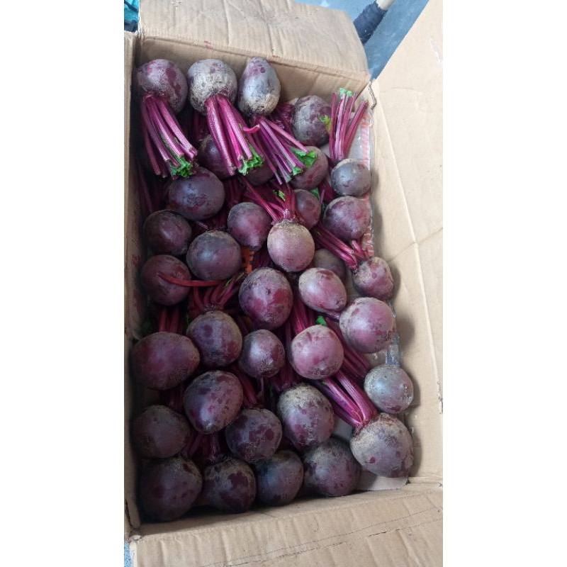 

Ssl09 Buah Bit Organik 1 kg