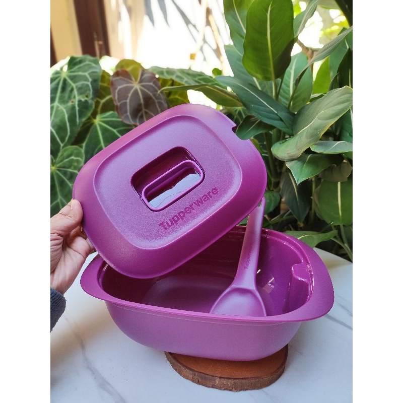 SALE  GOURMET TUPPERWARE (SATU SET) PIRING SAJI - TEMPAT NASI SAYUR LAUK PAUK - TUPPERWARE PROMO