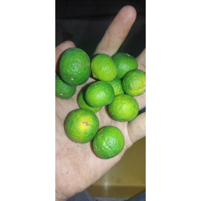 

jeruk limau berat 250gr
