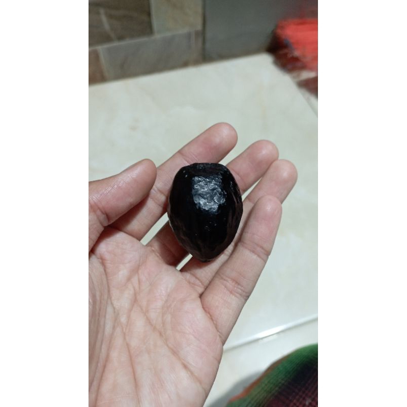 MUNCANG ADU JAWA MALANGBONG JUAL MENTAHAN