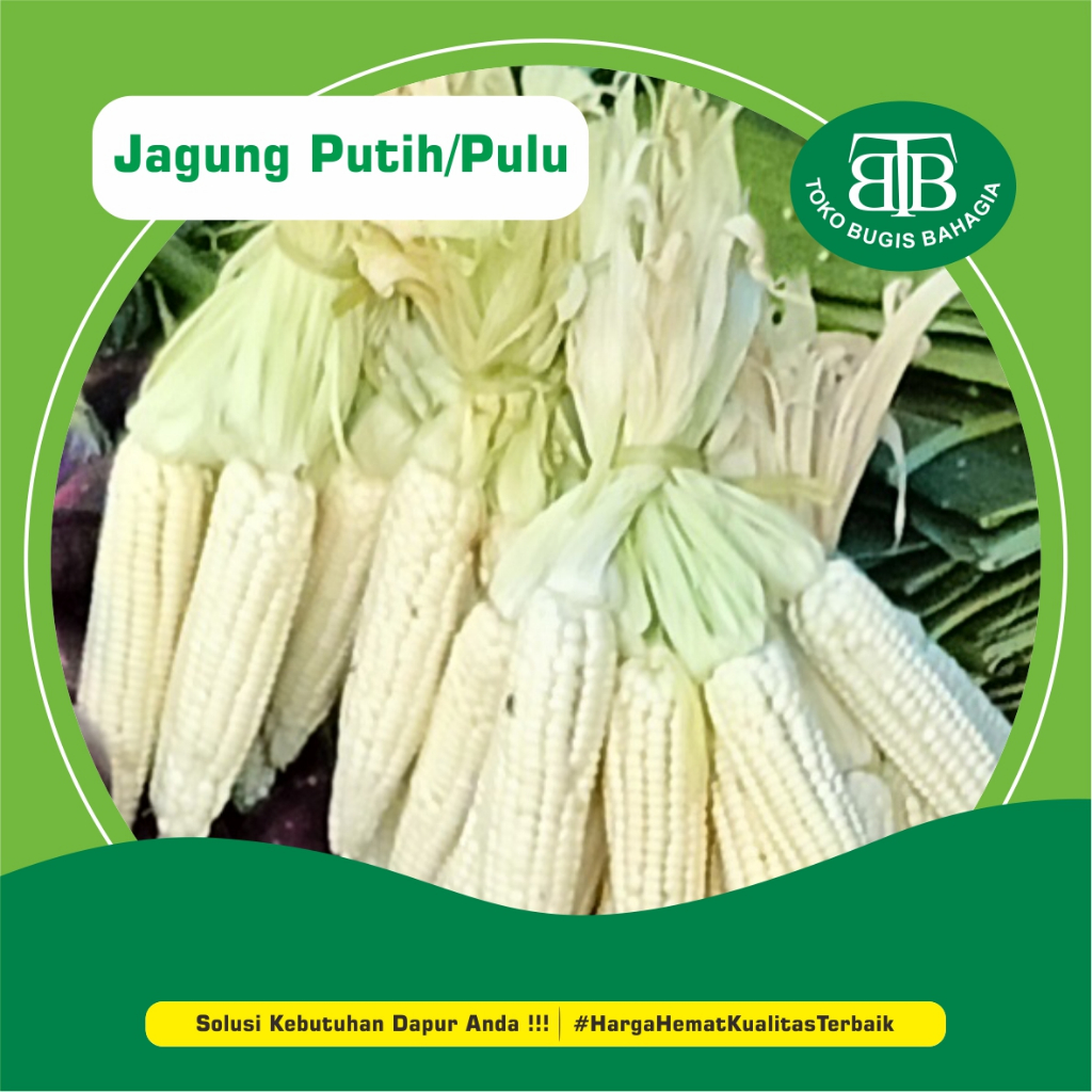 

Jagung Pulu PerBiji, Murah Makassar