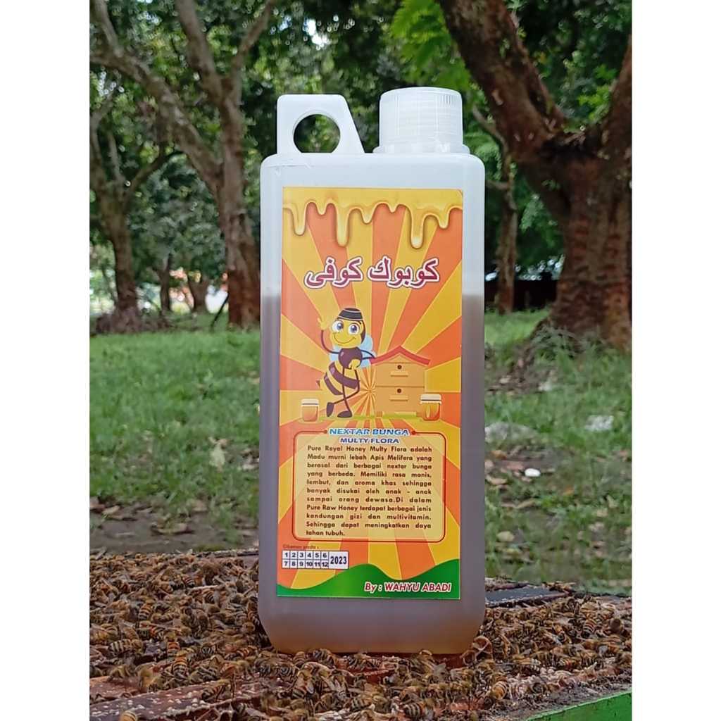 

Madu Asli 100% - Murni Nektar Multiflora 1 KG - Pure Raw Honey