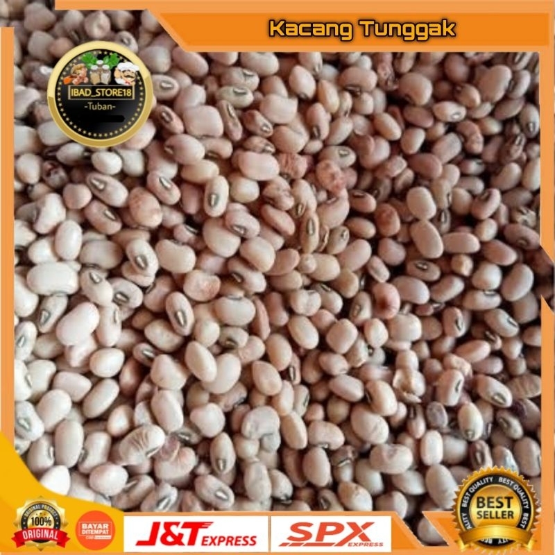 

Kacang Tolo/Tunggak Kupas Mentah 500gr