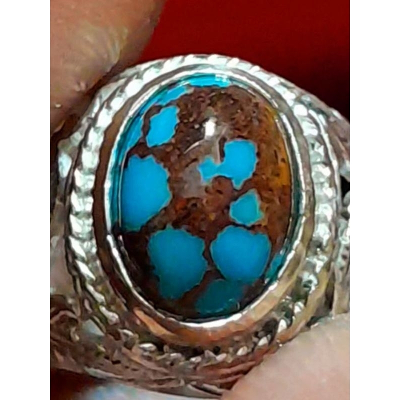 Pirus Persia royal blue ceplok kuro