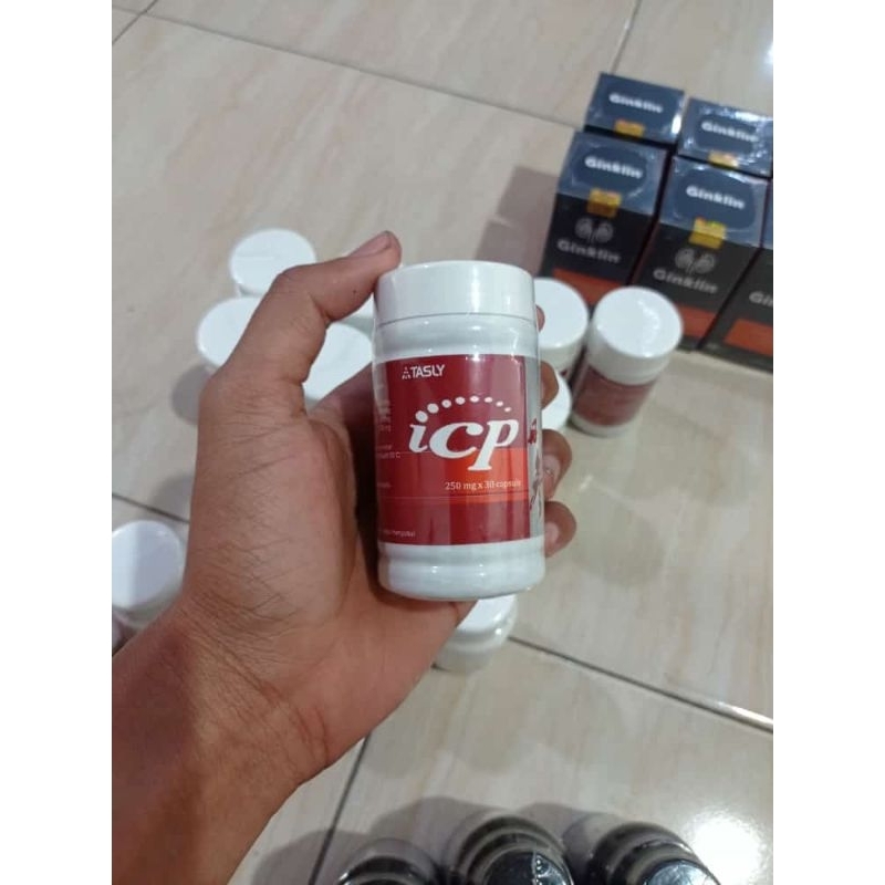 ICP Capsule Original Berhologram - Obat Herbal Jantung Stroke