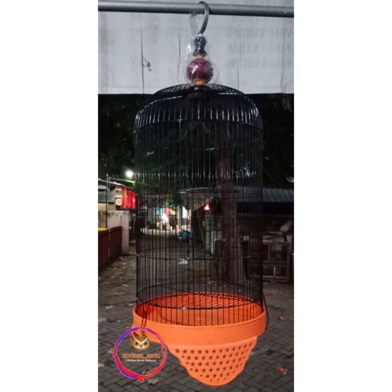 SANGKAR LOVEBIRD KAPSUL STANDARD 33 TEBOK KAKI TIGA LUBANG BINTANG DAN DOFF HITAM DAN WARNA KANDANG