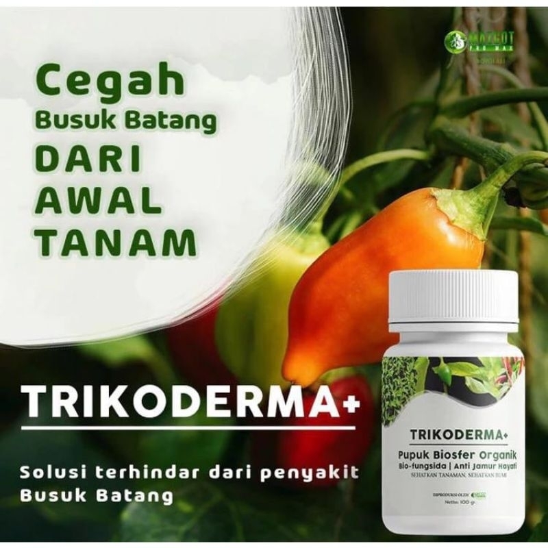TRIKODERMA/PERAWATAN TANAMAN
