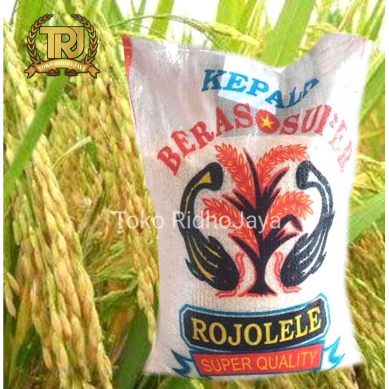 

BERAS SLYP SUPER ROJOLELE 10 KG Mutu Terjamin