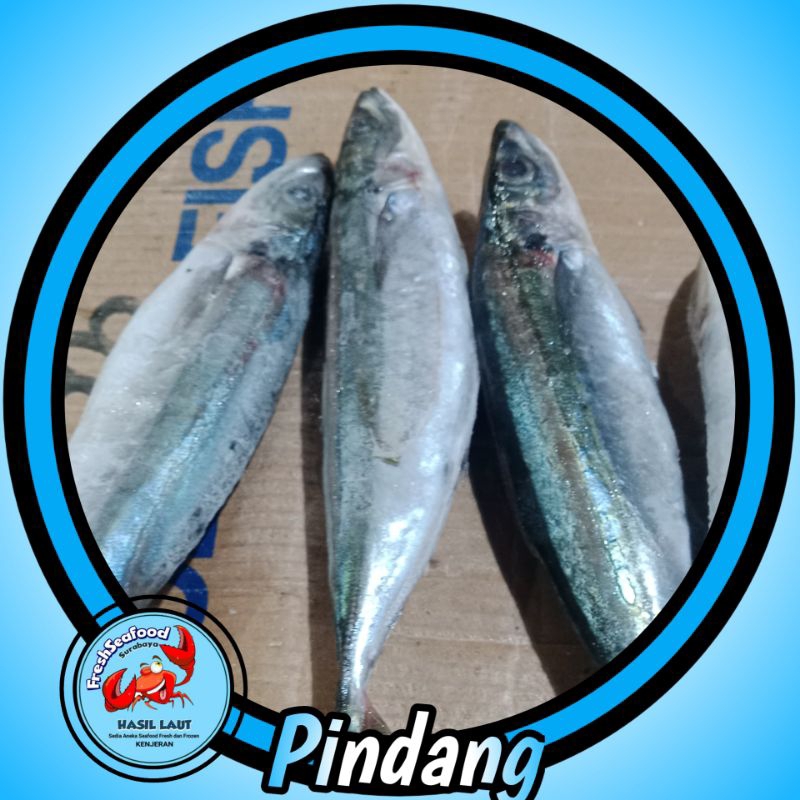 

IKAN PINDANG SEGAR 1KG
