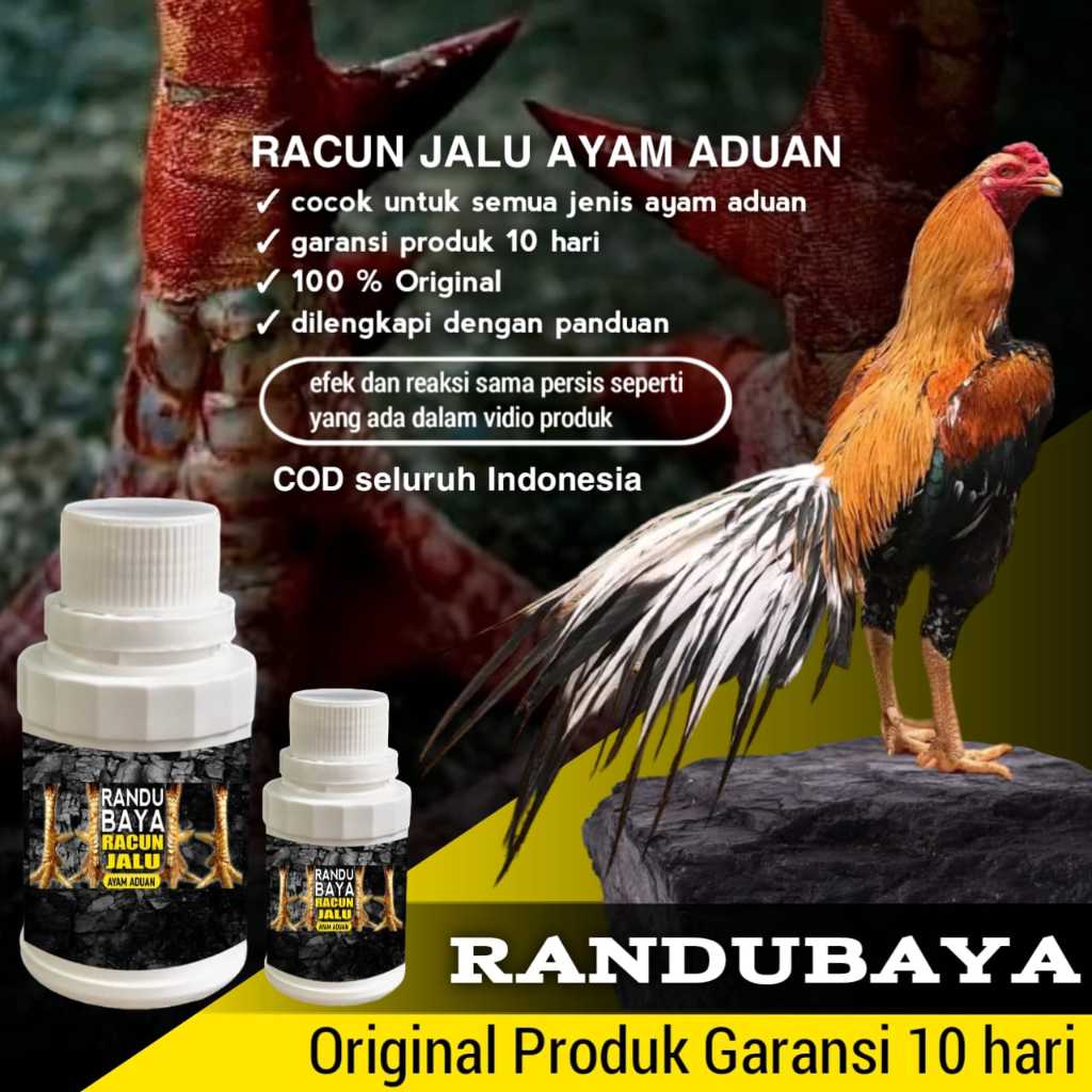 doping ayam bangkok aduan randu baya racun jalu pama iq