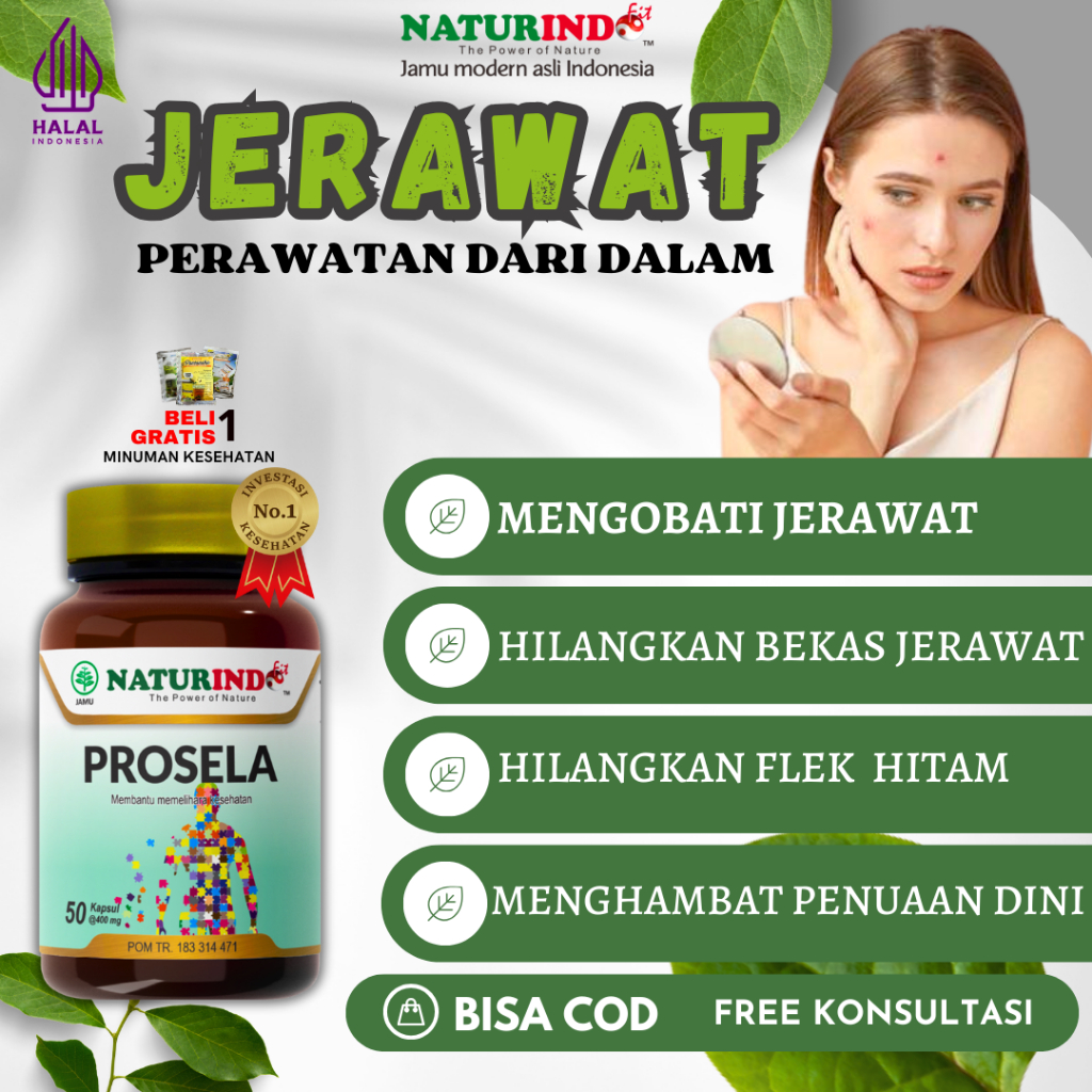 Obat Herbal Jerawat Batu dan Bekas Luka Penghilang Bopeng Bekas Jerawat Luka Meregenerasi Sel Koreng