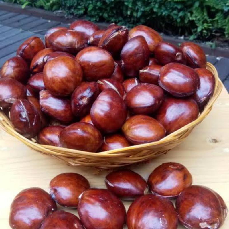 

Jengkol Super Pilihan 1kg