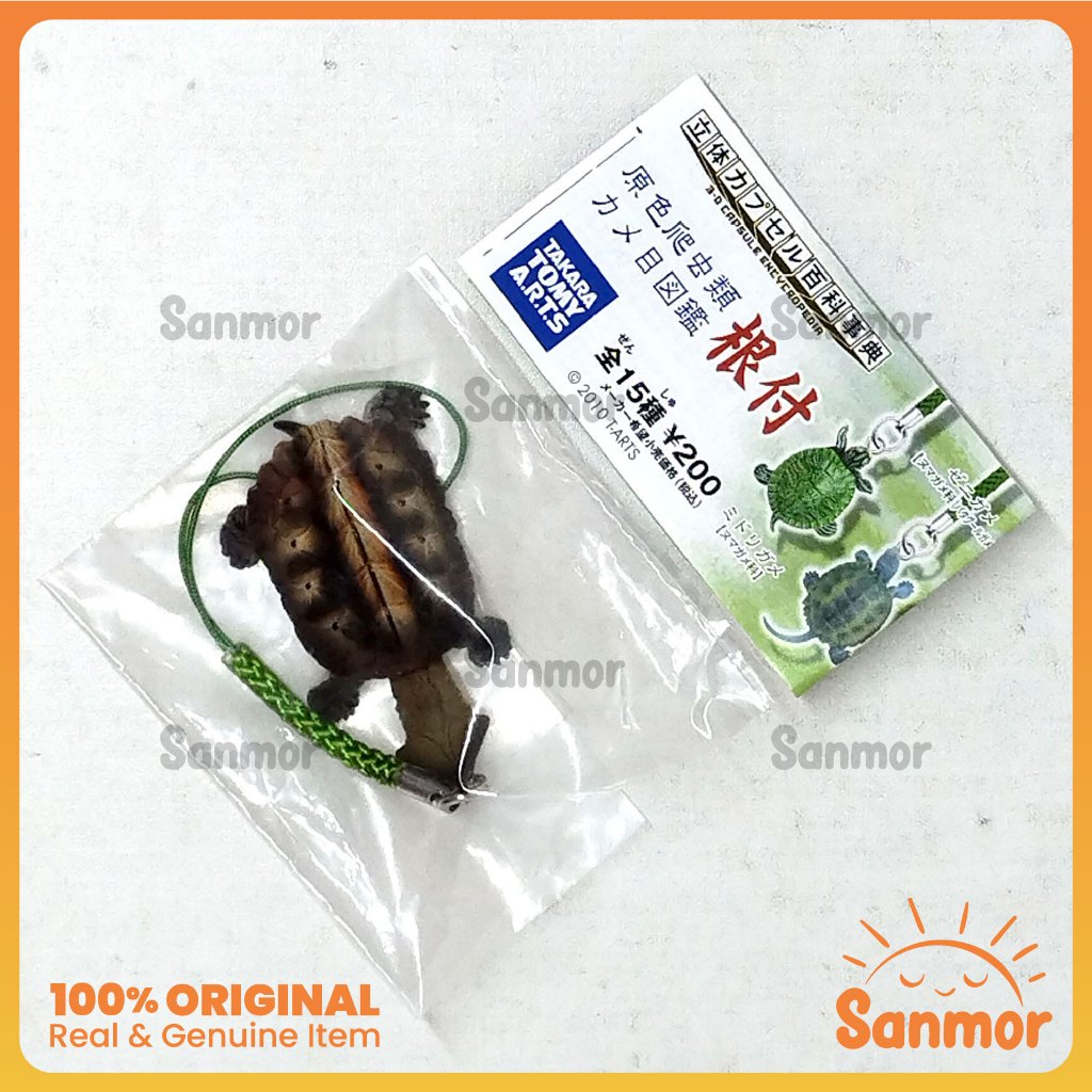 Gachapon Gashapon Encyclopedia Figure Strap Original New - Mata Mata Turtle