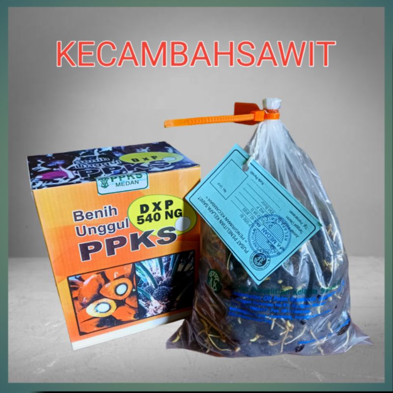 bibit sawit ppks 540