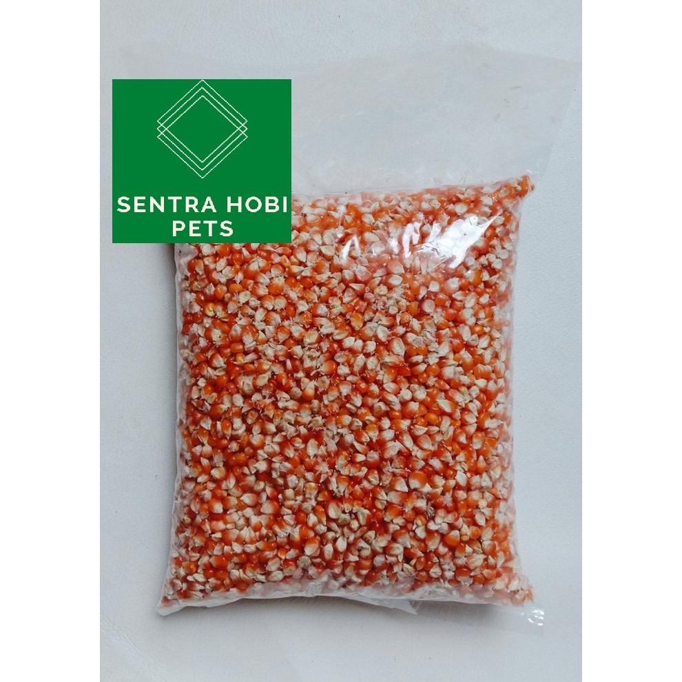 

Jagung Unyil Makanan Ayam Atau Burung