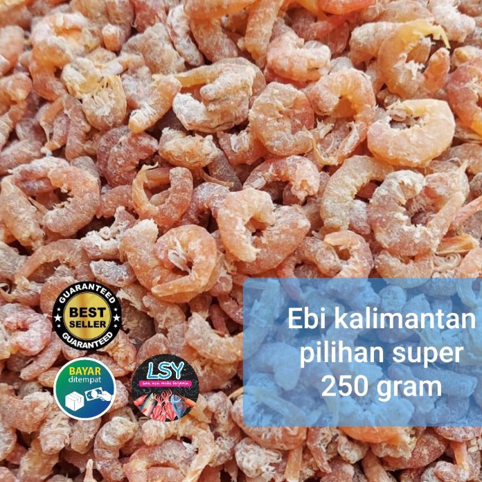

Terbaru 33 ebi super pilihan 25gr