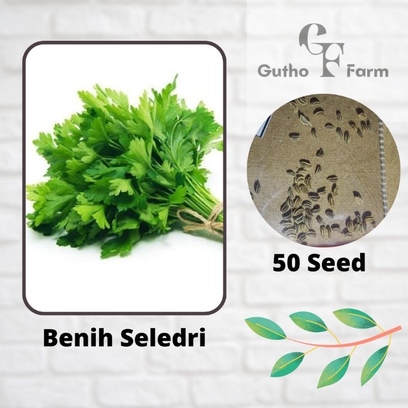 50 Seed Benih Daun Seledri Repack